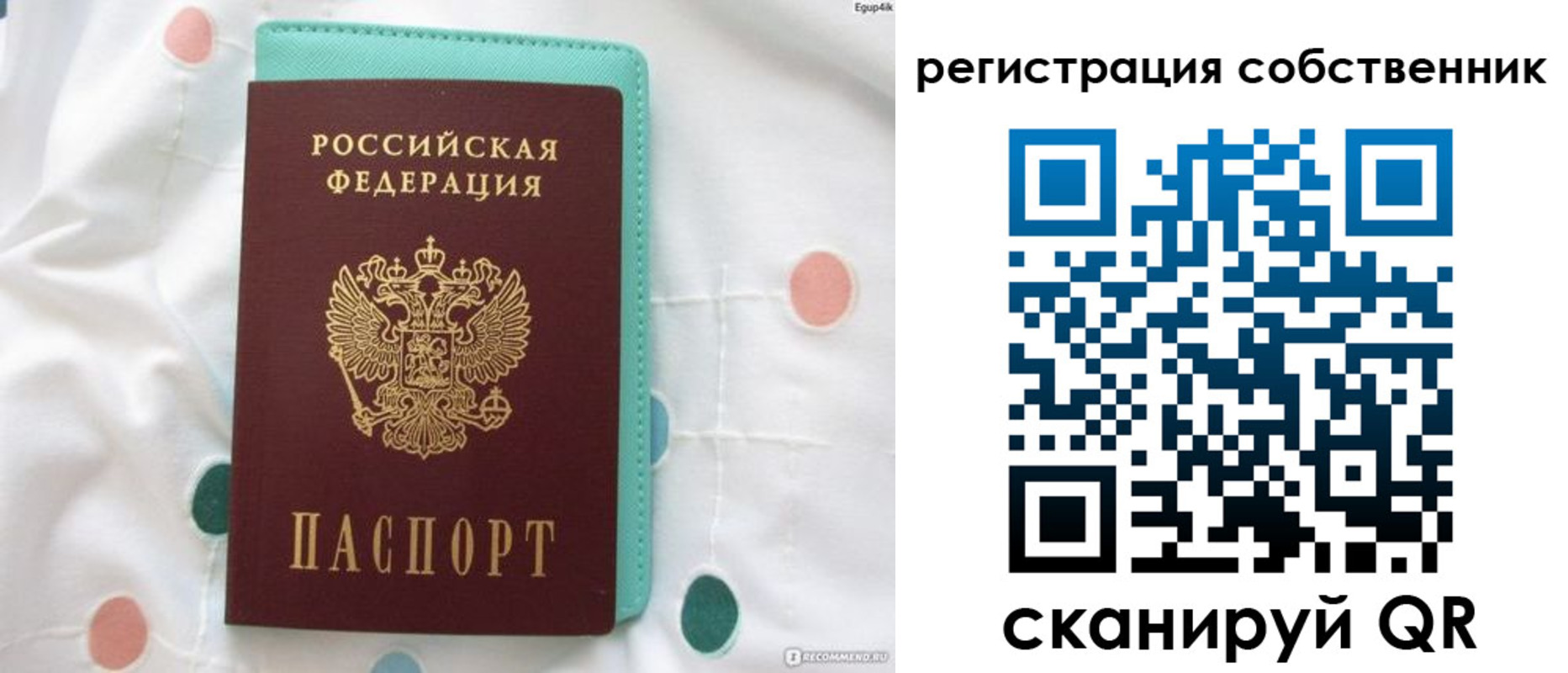 прописка для школы в Орле